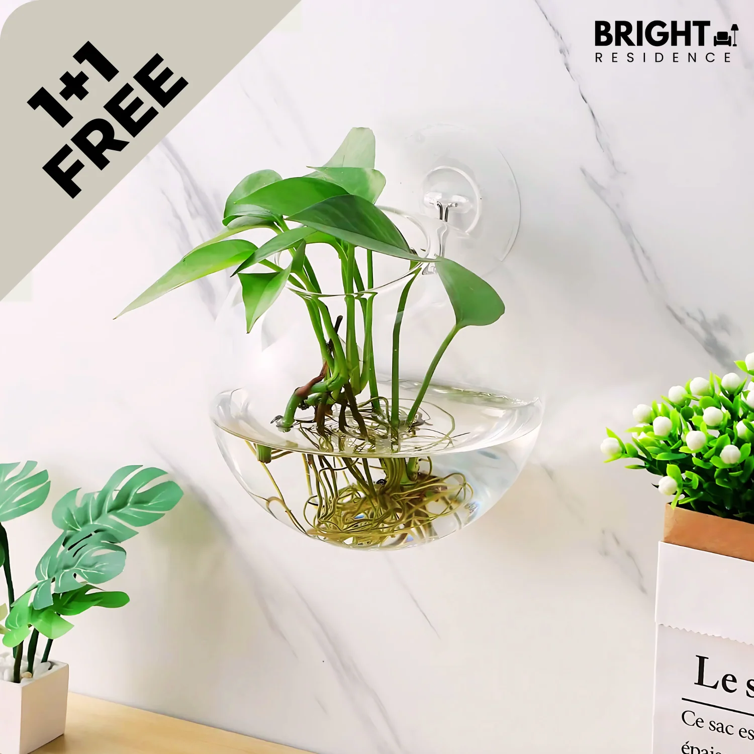 1+1 FREE | FlowerCrest - Creative vase for wall mounting
