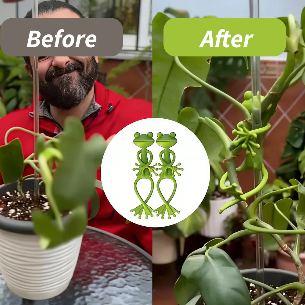 FrogGuard – Keeping Climbing Plants Upright and Healthy Easily - Image 6