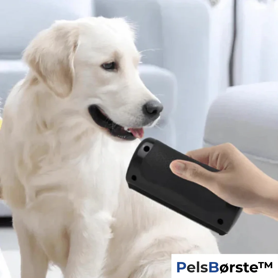FurNix - Effortlessly Stop Hair Loss and Fleas for a Cleaner Home - Image 3