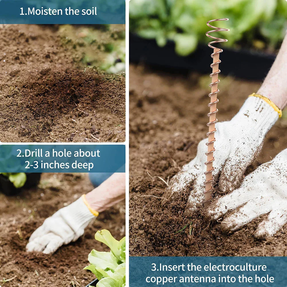 Garden Plant Antennas | Copper Spiral Design | Wood Rod Construction | Reduces Fertilizer Use - Image 3