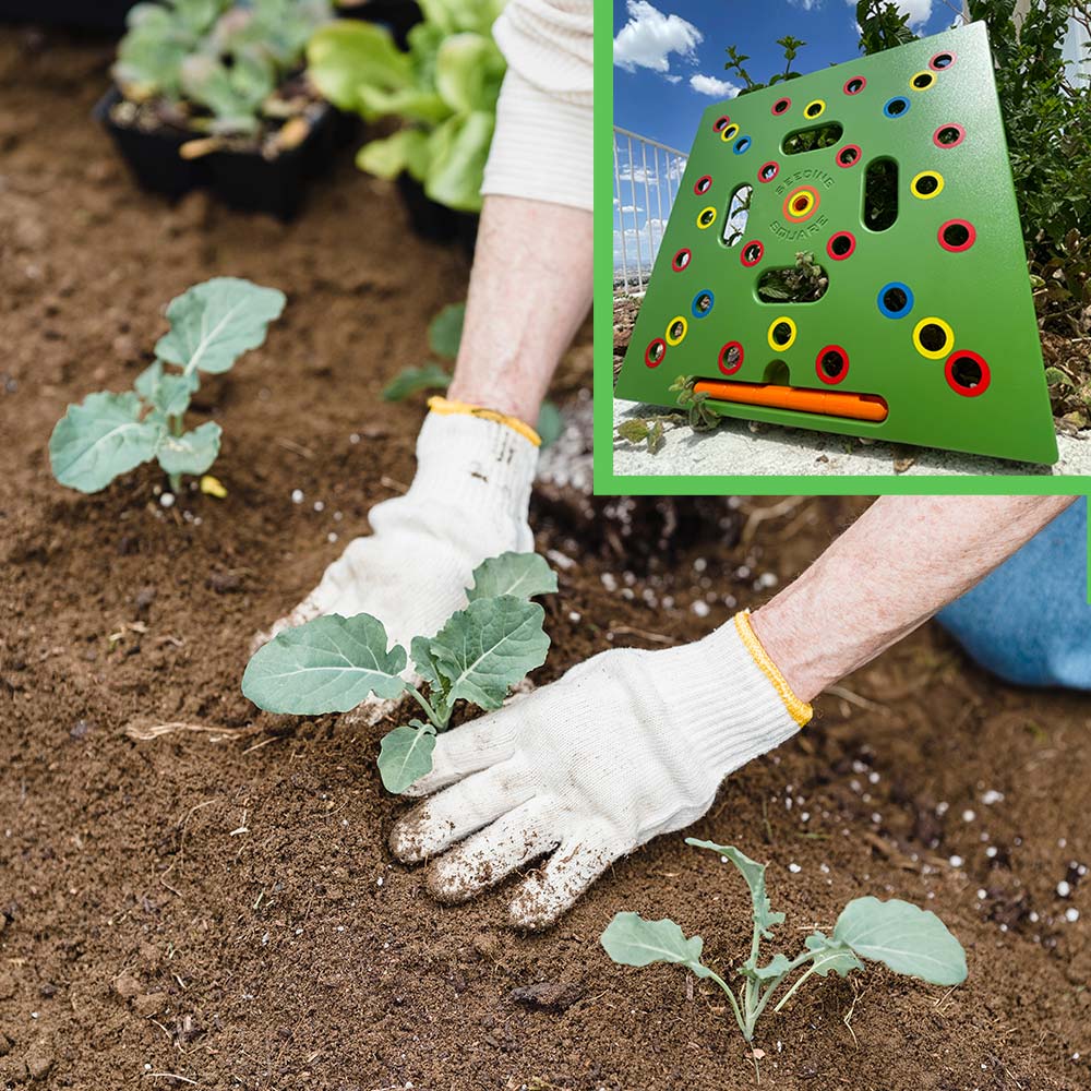 GardenPatch - Perfect Planting for Larger, Healthier Harvests - Image 4