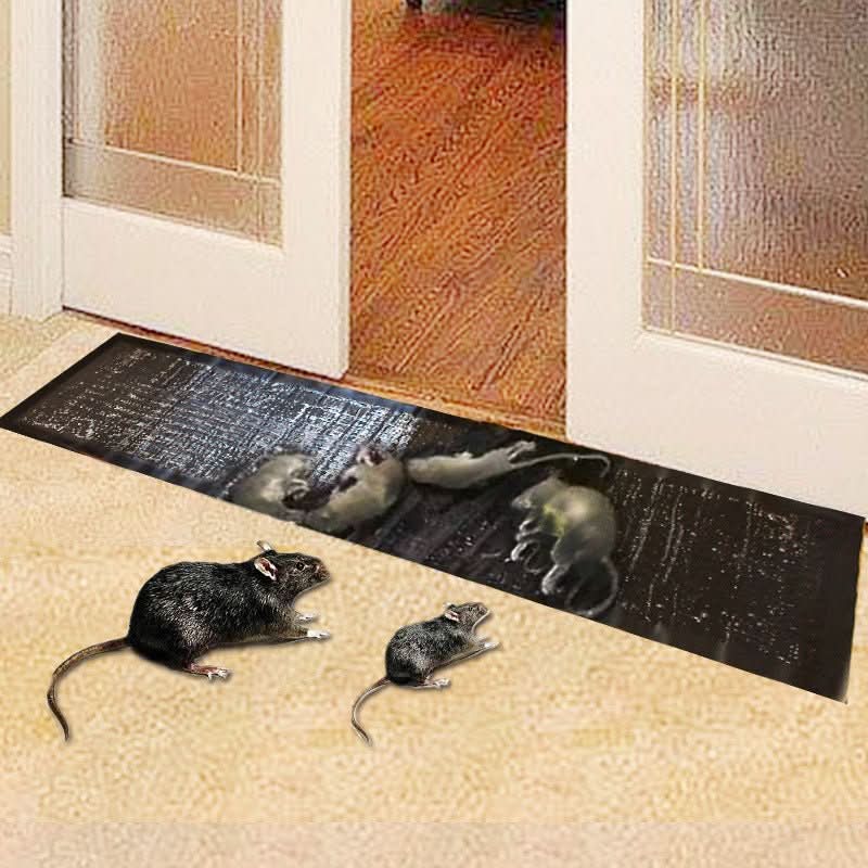 Glue Trap | Large Non-Toxic Catching Surface | Cardboard Base & Durable Adhesive | 10-Pack - Image 2
