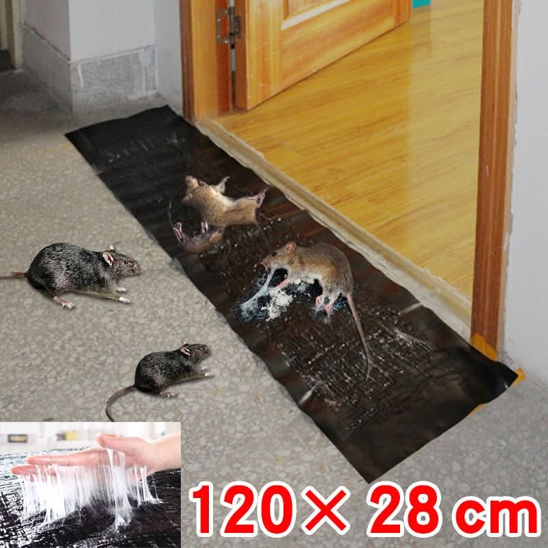 Glue Trap | Large Non-Toxic Catching Surface | Cardboard Base & Durable Adhesive | 10-Pack - Image 6