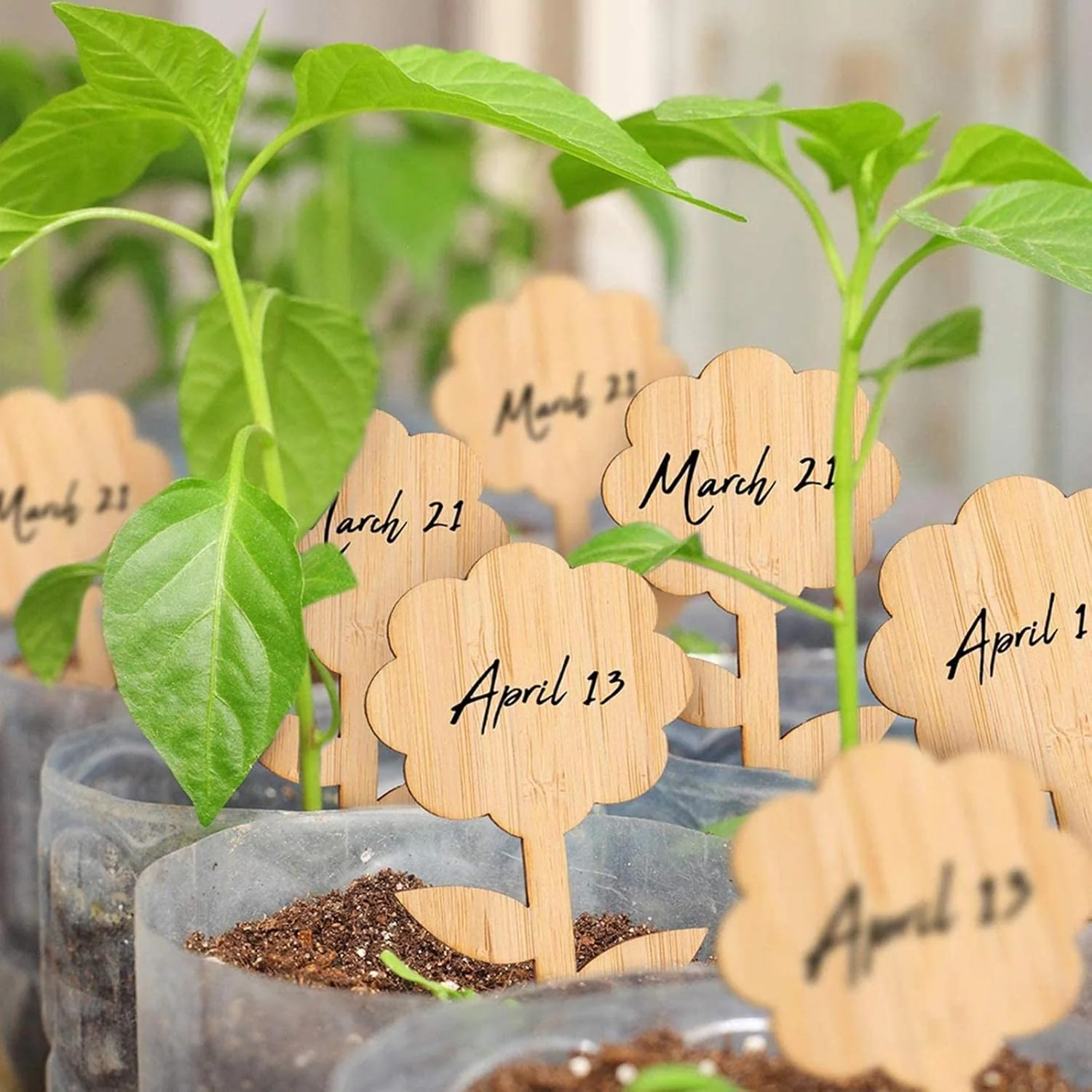 GreenMark – Never Forget Plant Care with Reusable Wooden Signs - Image 3