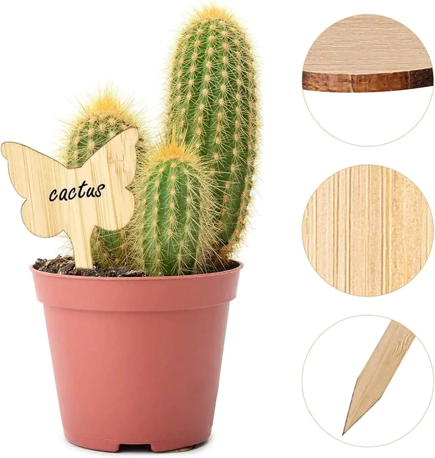 GreenMark – Never Forget Plant Care with Reusable Wooden Signs - Image 4