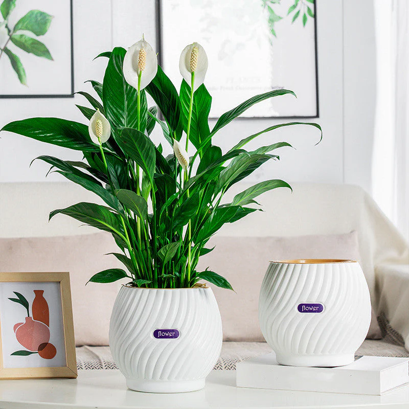 GreenPlanter – Keep Your Plants Perfectly Moisturized Effortlessly - Image 3