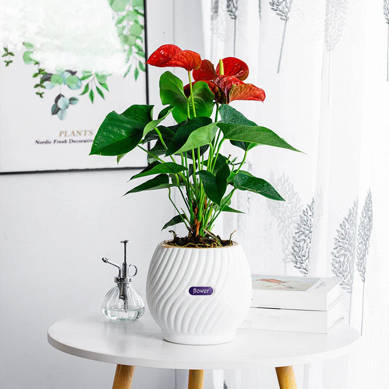 GreenPlanter – Keep Your Plants Perfectly Moisturized Effortlessly - Image 4