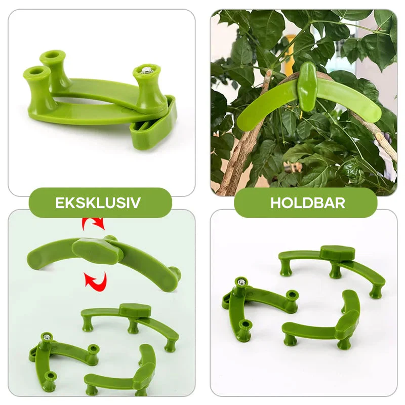 GrowAngle – Stronger, healthier plants shaped with perfect support - Image 12