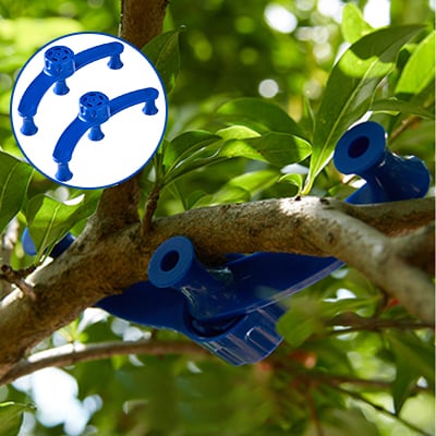 GrowAngle – Stronger, healthier plants shaped with perfect support - Image 5