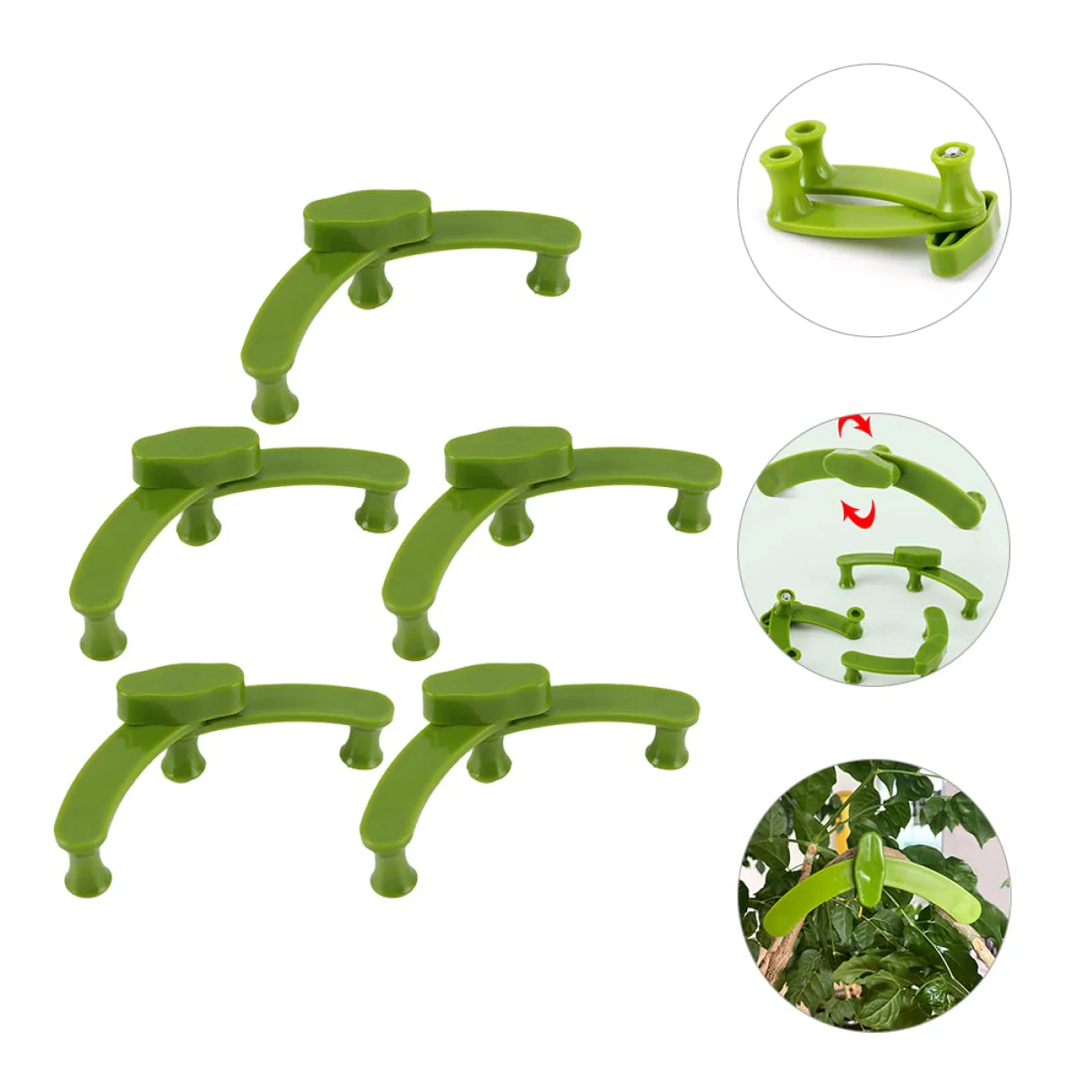 GrowAngle – Stronger, healthier plants shaped with perfect support - Image 6