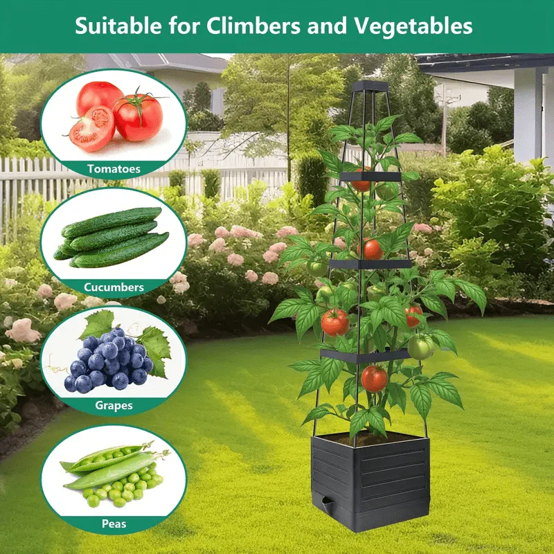 GrowCube – Keep plants perfectly hydrated without daily watering - Image 11