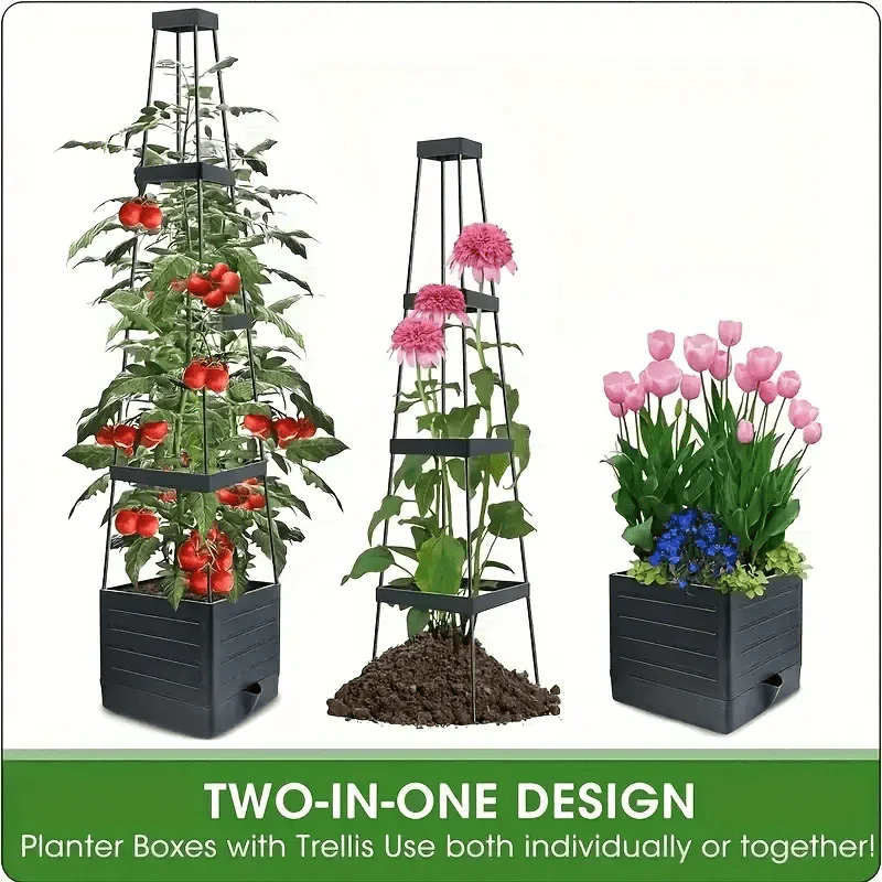 GrowCube – Keep plants perfectly hydrated without daily watering - Image 3