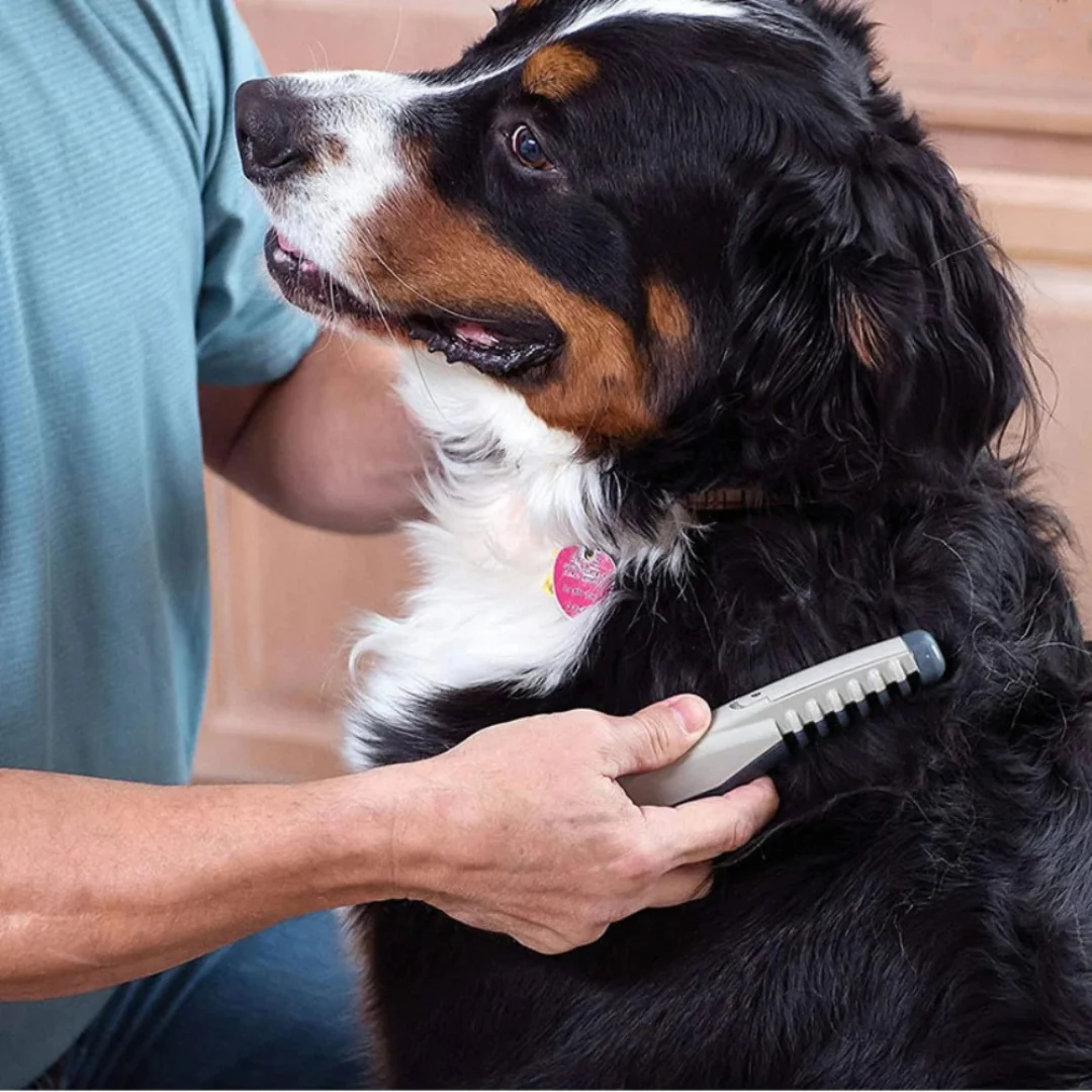 Haustier-Trimmer für Hunde & Katzen | Knotfreie Pflegemethode | Edelstahlklingen & rutschfester Griff - Image 2