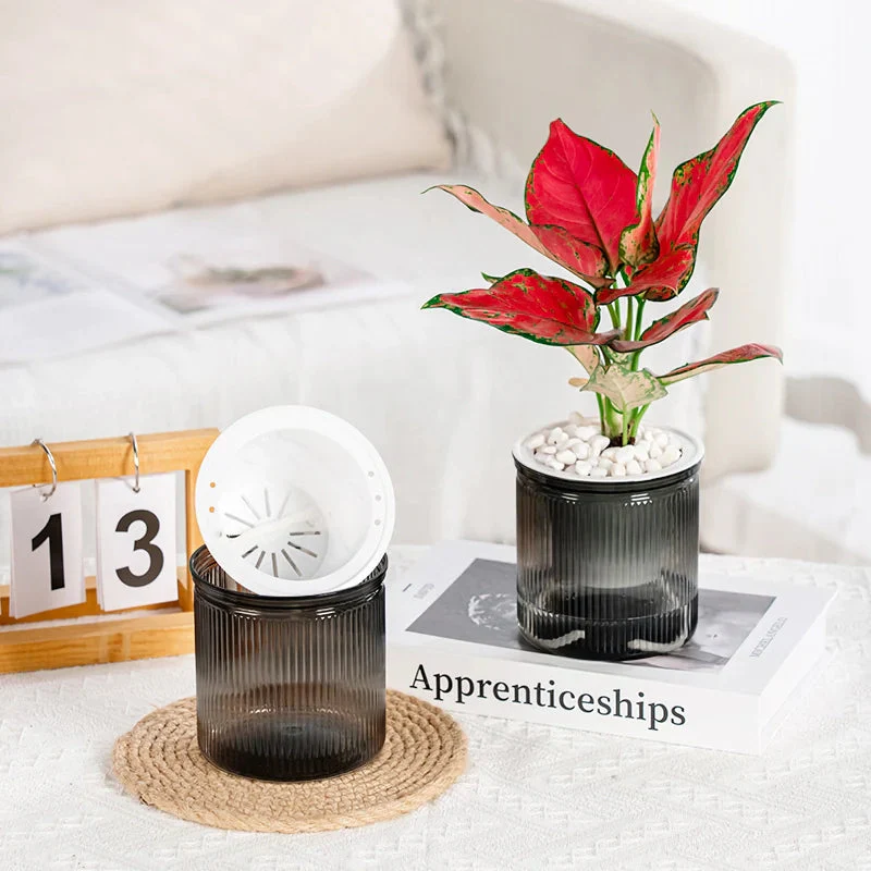 HydroEase – Effortlessly Perfectly Hydrate Succulents - Image 3