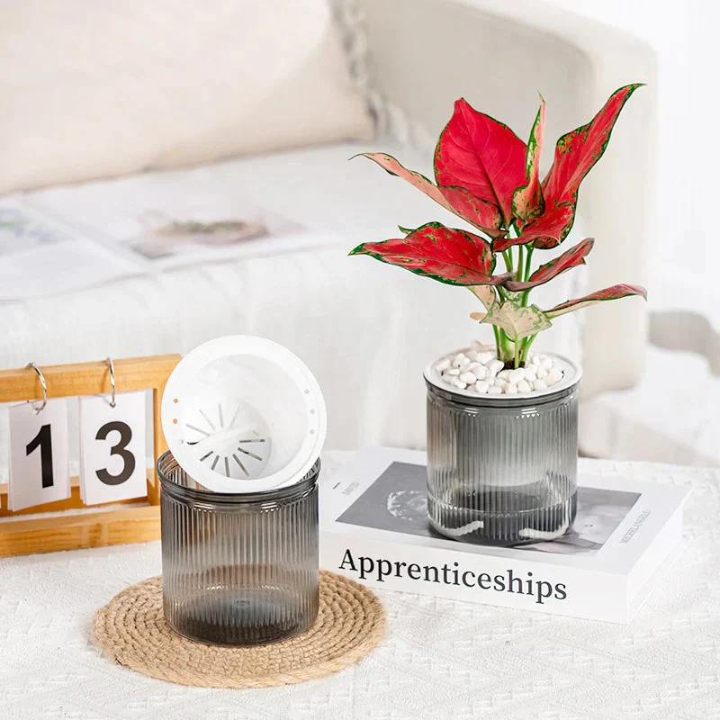HydroEase – Effortlessly Perfectly Hydrate Succulents - Image 4