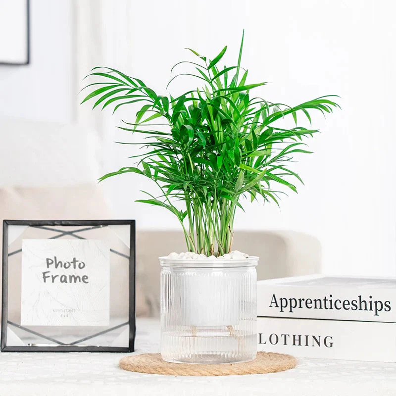 HydroEase – Effortlessly Perfectly Hydrate Succulents - Image 6