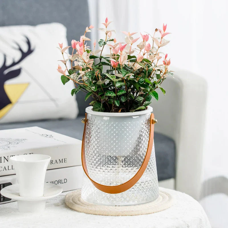 HydroponicPlanter – Keep Your Indoor Plants Effortlessly Hydrated All Day - Image 2