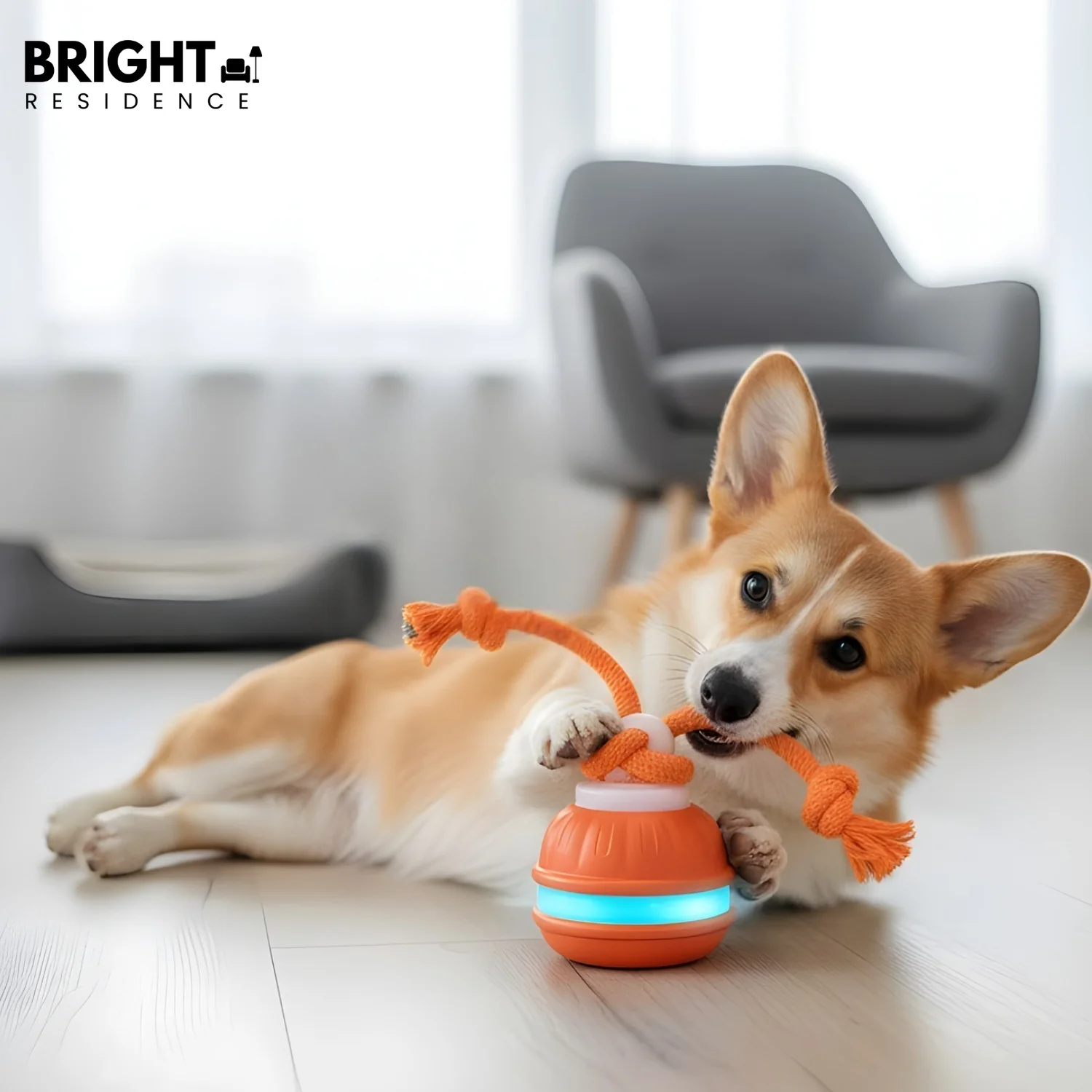 K9Spark – Keeps Your Dog Mentally Fit and Energetically Happy - Image 4