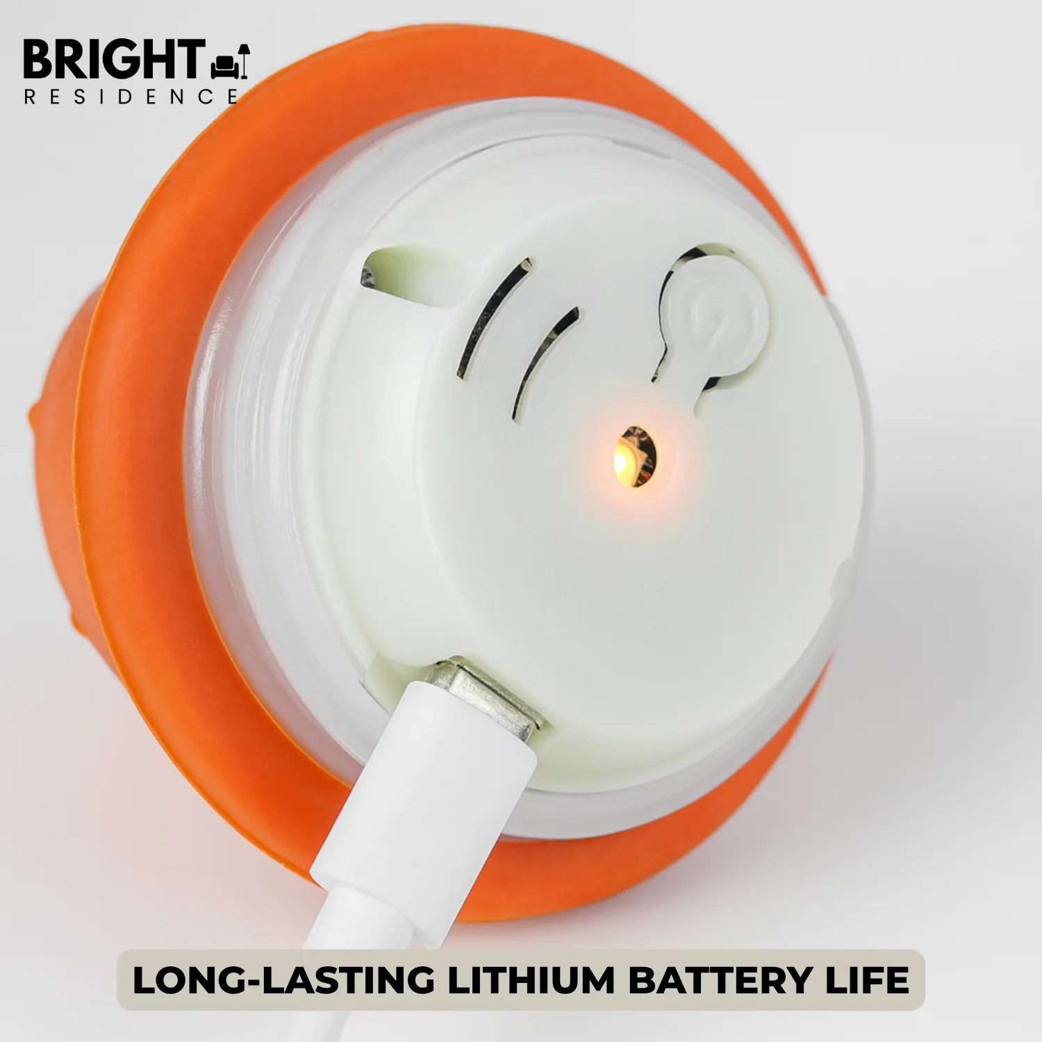 K9Spark – Keeps Your Dog Mentally Fit and Energetically Happy - Image 9