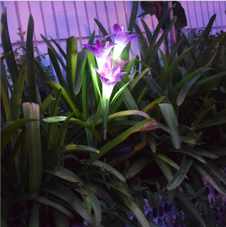 LilyFlair – Effortless, Solar-Powered, Colorful Garden Shine - Image 12
