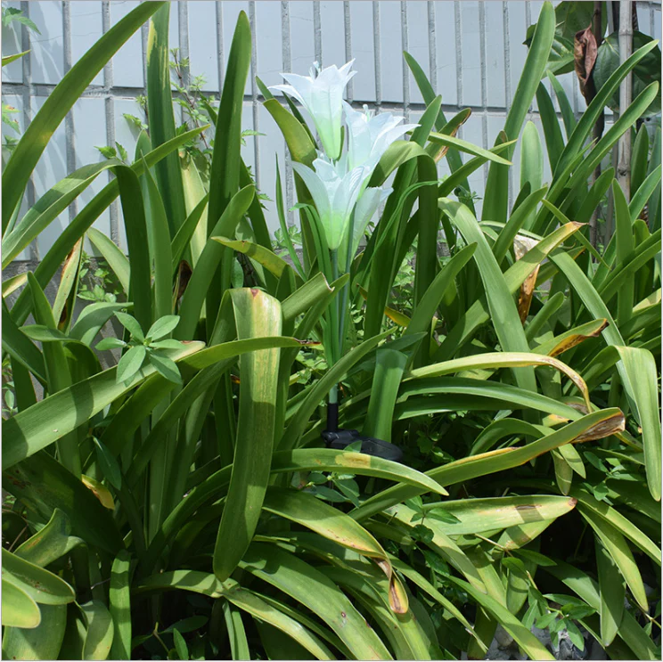 LilyFlair – Effortless, Solar-Powered, Colorful Garden Shine - Image 13