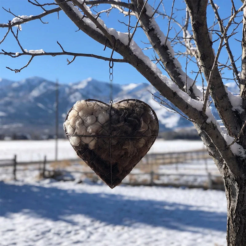 LoveNest - Attract More Birds Instantly and Warm Up Your Garden - Image 2