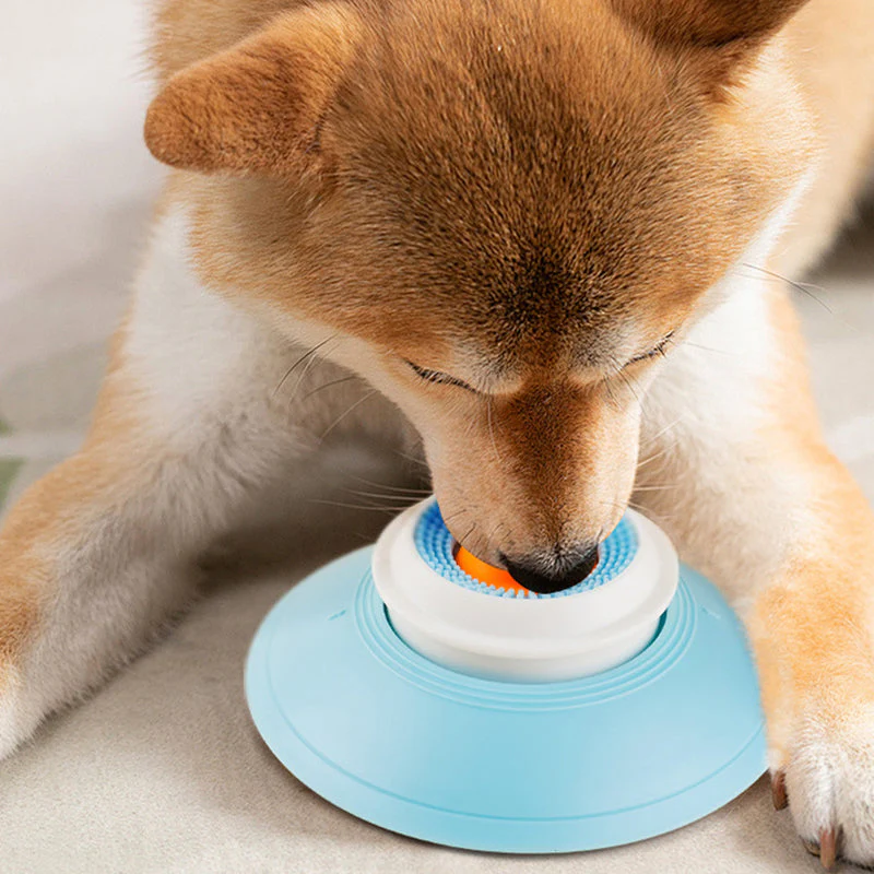 PacePup - Stop messy meals with the slow, leak-proof feeding bowl - Image 7
