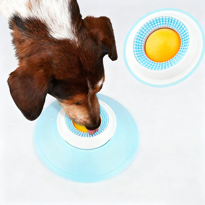 PacePup - Stop messy meals with the slow, leak-proof feeding bowl - Image 8
