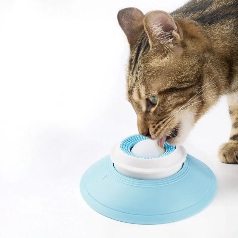 PacePup - Stop messy meals with the slow, leak-proof feeding bowl - Image 9