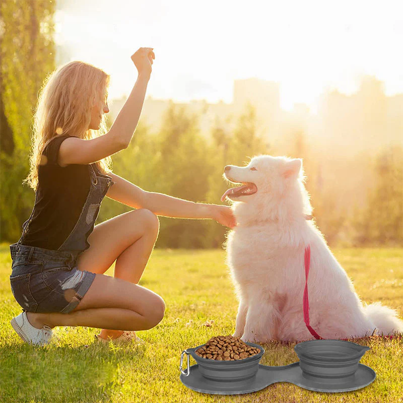 PawEase – Compact Travel Bowl for Food and Water on the Go - Image 10