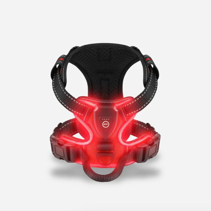 PawGuard – Safe & Stylish Walking - Image 5