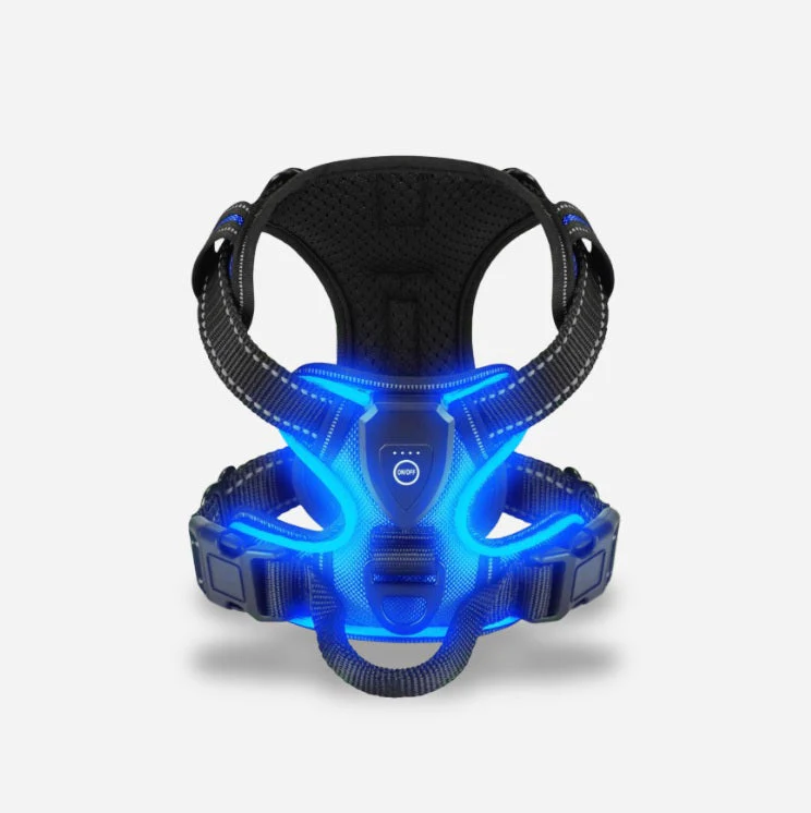 PawGuard – Safe & Stylish Walking - Image 6