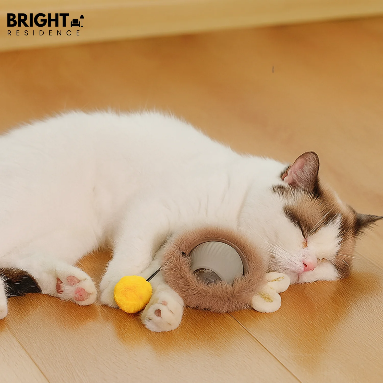 PawRoller – For happy, balanced dogs! - Image 7