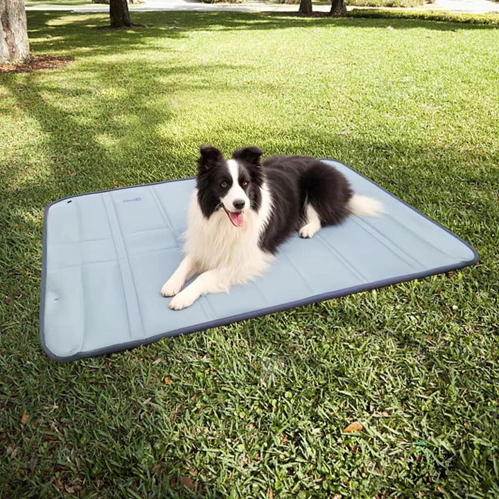PetVoyage – Stay organized and ready for every adventure with your pet - Image 3