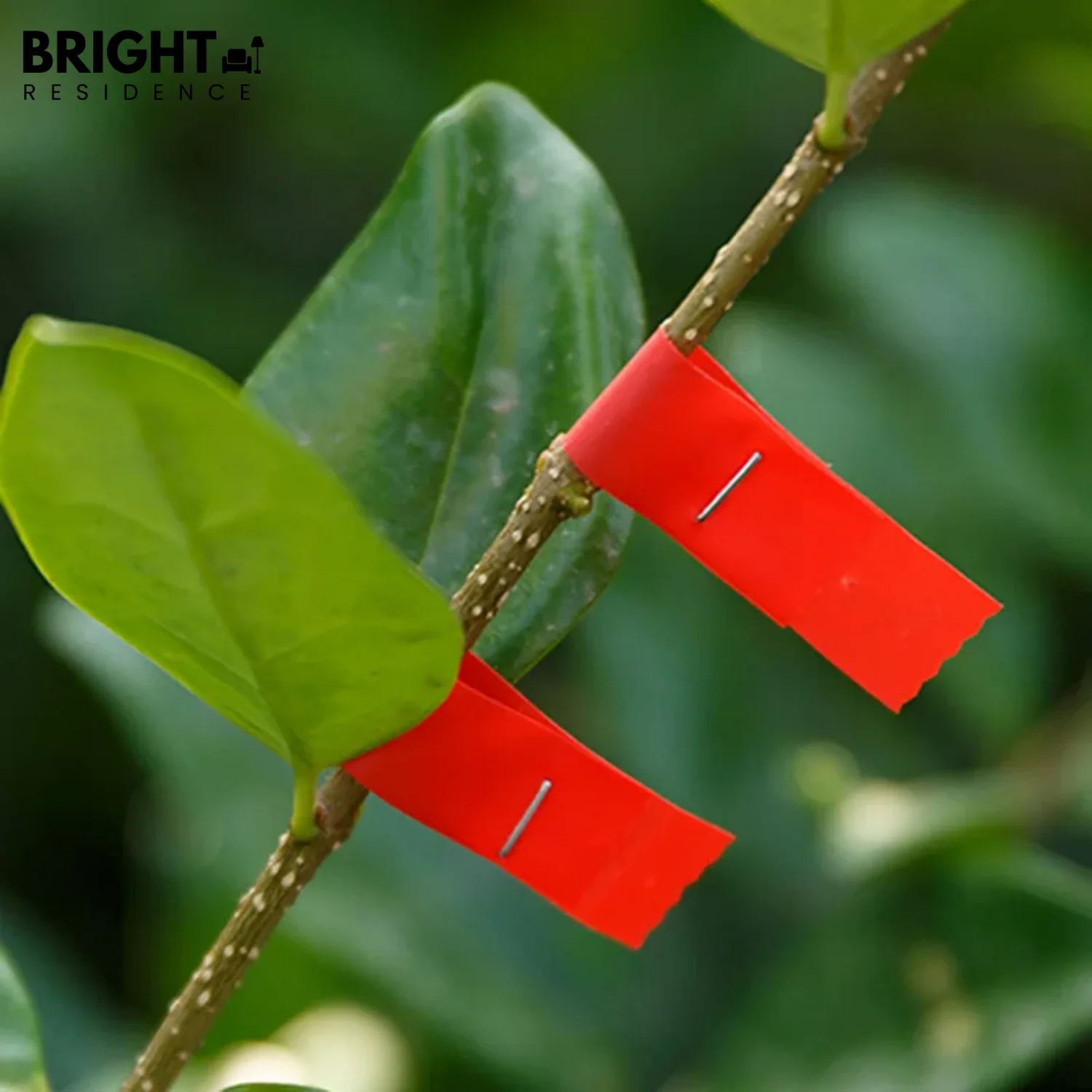 PlantBind - bind plants like a pro in seconds! - Image 5