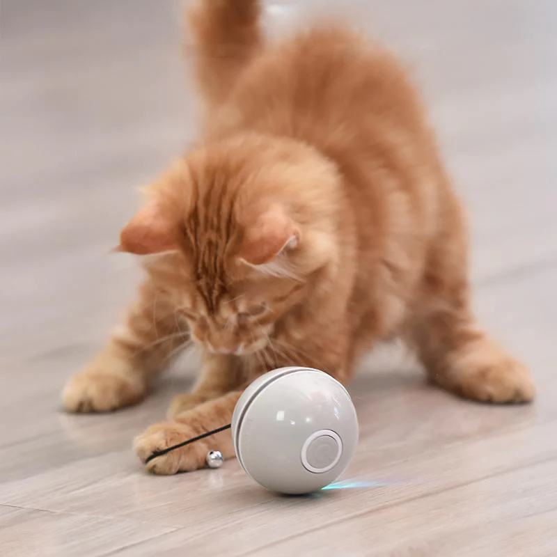 PurrBlast - Endless Fun That Keeps Your Cat Active and Happy - Image 3