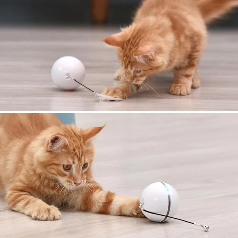 PurrBlast - Endless Fun That Keeps Your Cat Active and Happy - Image 4