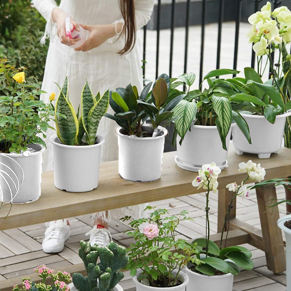 RootMight – Grow Strong, Healthy Roots for Vibrant Plants - Image 6