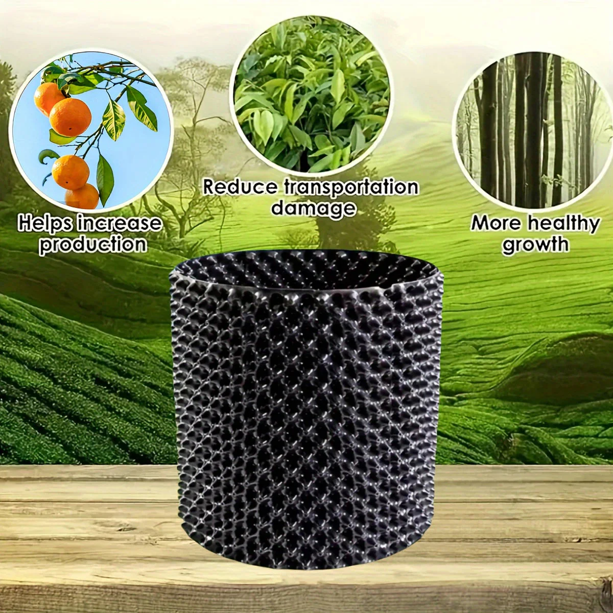 RootRite – Stronger, Healthier Root Growth for Thriving Plants - Image 10