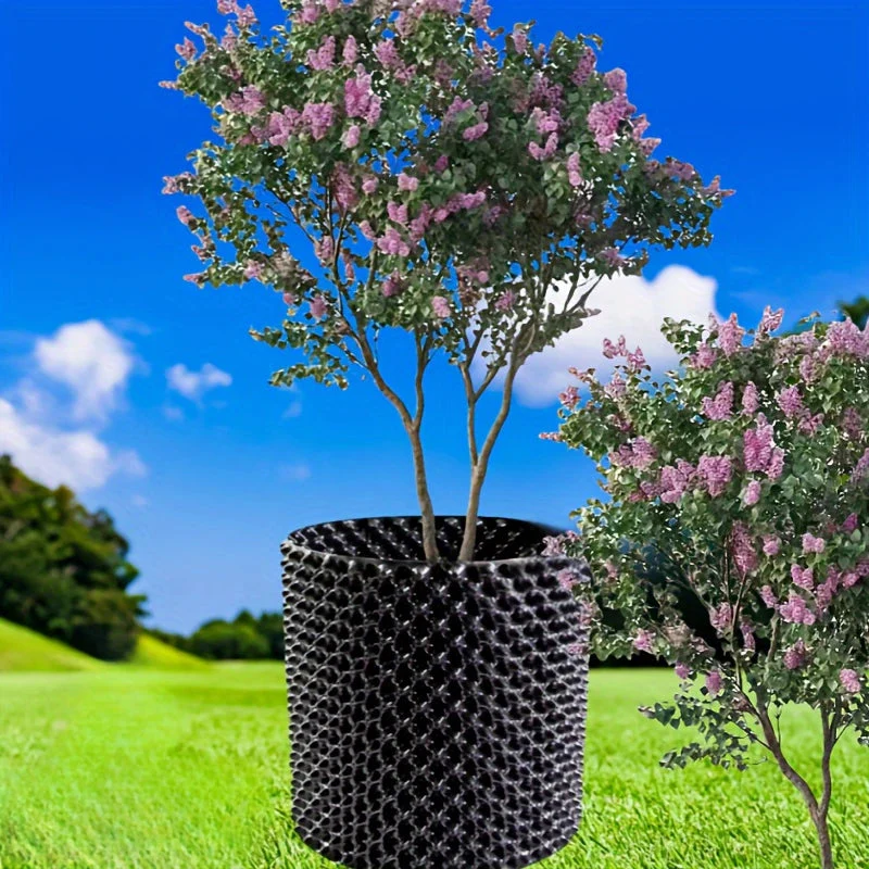 RootRite – Stronger, Healthier Root Growth for Thriving Plants - Image 11