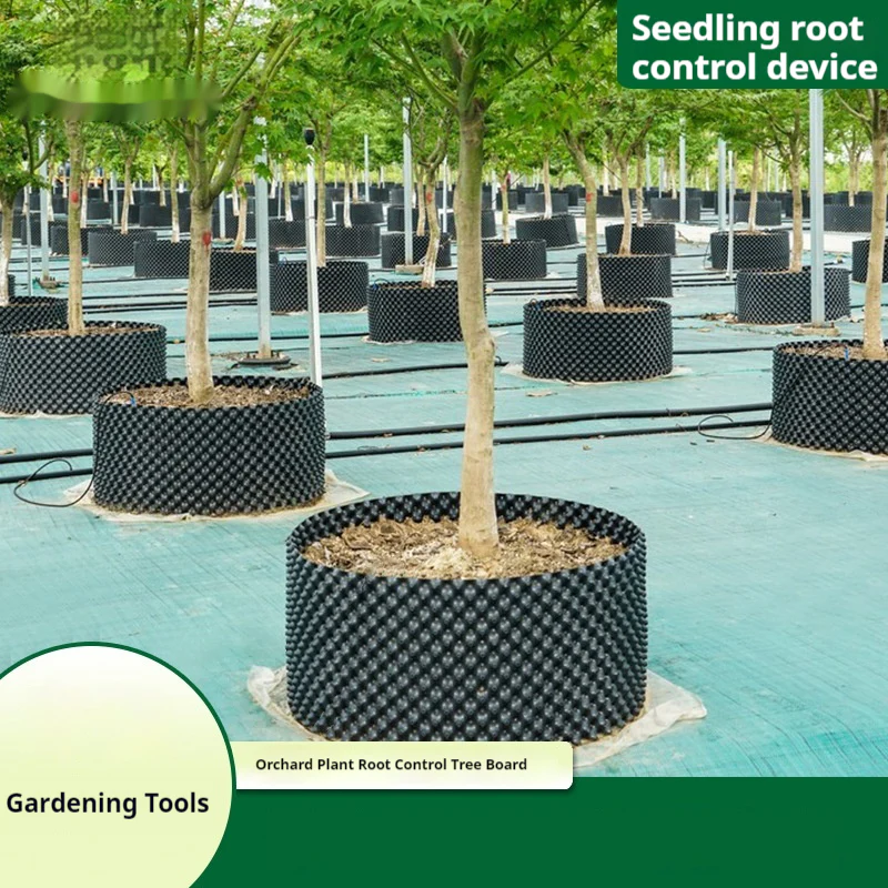 RootRite – Stronger, Healthier Root Growth for Thriving Plants - Image 12