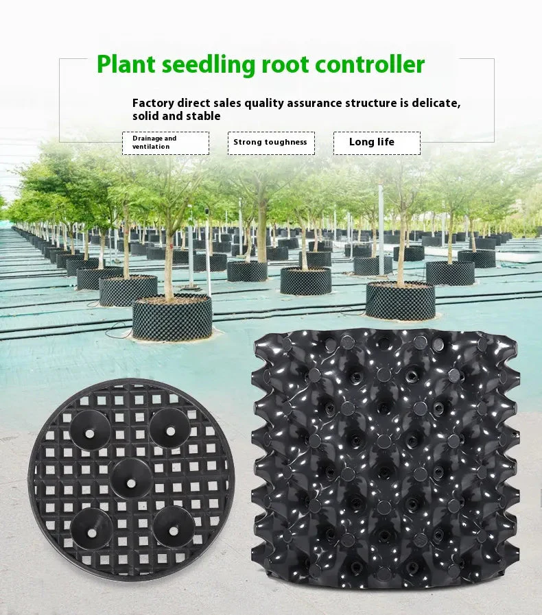 RootRite – Stronger, Healthier Root Growth for Thriving Plants - Image 13