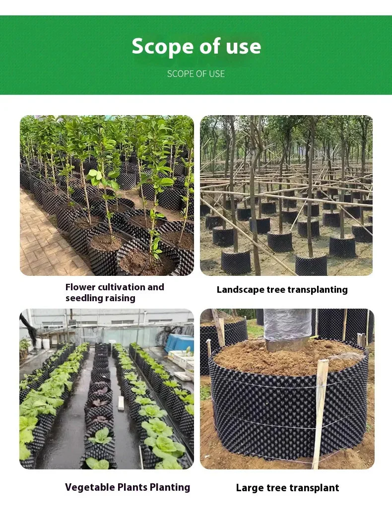 RootRite – Stronger, Healthier Root Growth for Thriving Plants - Image 14