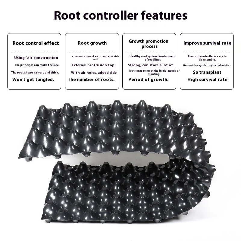 RootRite – Stronger, Healthier Root Growth for Thriving Plants - Image 16