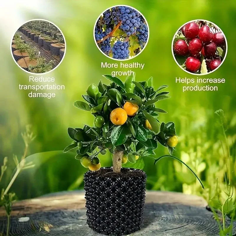 RootRite – Stronger, Healthier Root Growth for Thriving Plants - Image 9