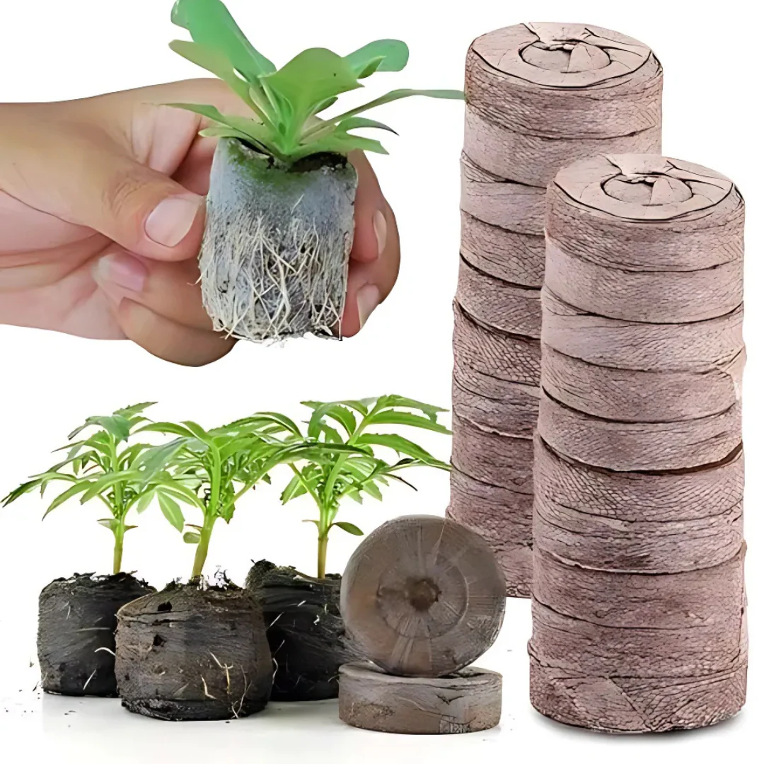 SproutEase – Fast, strong germination with perfect moisture control - Image 2