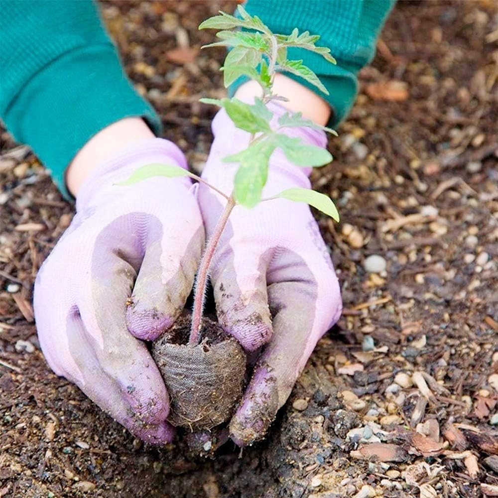 SproutEase – Fast, strong germination with perfect moisture control - Image 8
