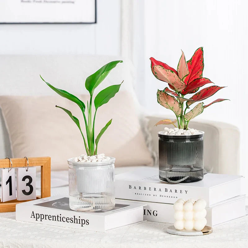 SucculEase – Effortlessly Keep Succulents Perfectly Hydrated - Image 3