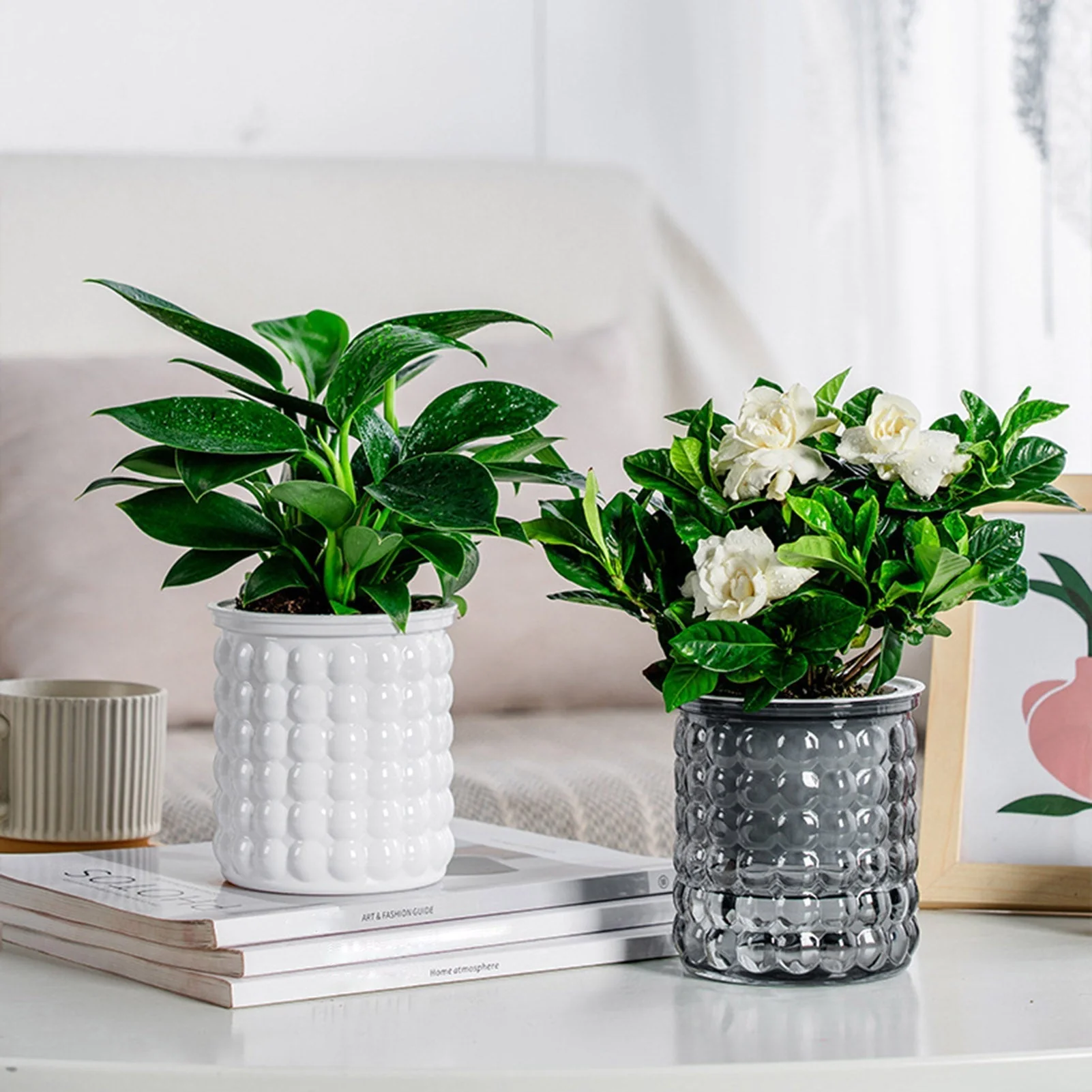 SucculentPlanter - Keep Your Succulents Juicy Without Watering Effort
