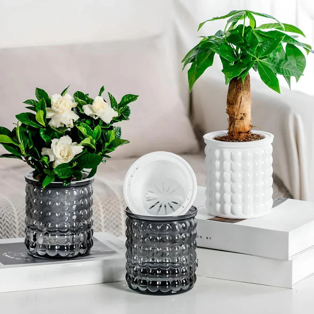 SucculentPlanter - Keep Your Succulents Juicy Without Watering Effort - Image 2
